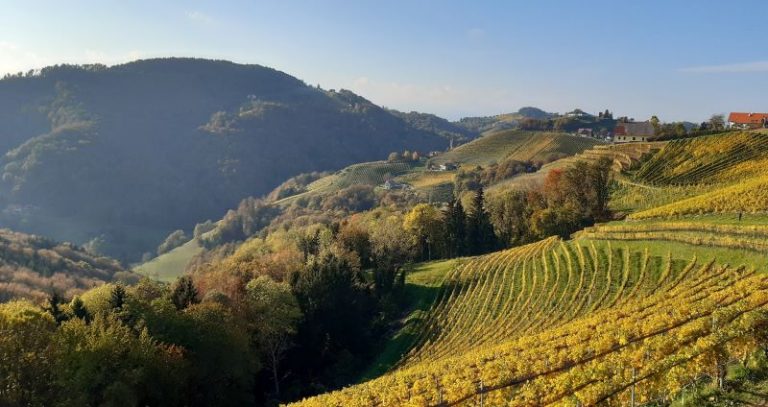 Südsteirisches Hügelland Frischluft zwischen Zeilen petra schwiglhofer